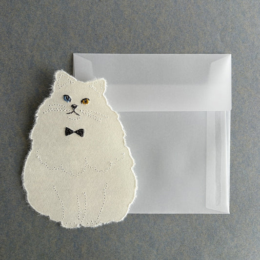 新柄発売 　「もふもふカード　ねこ　」