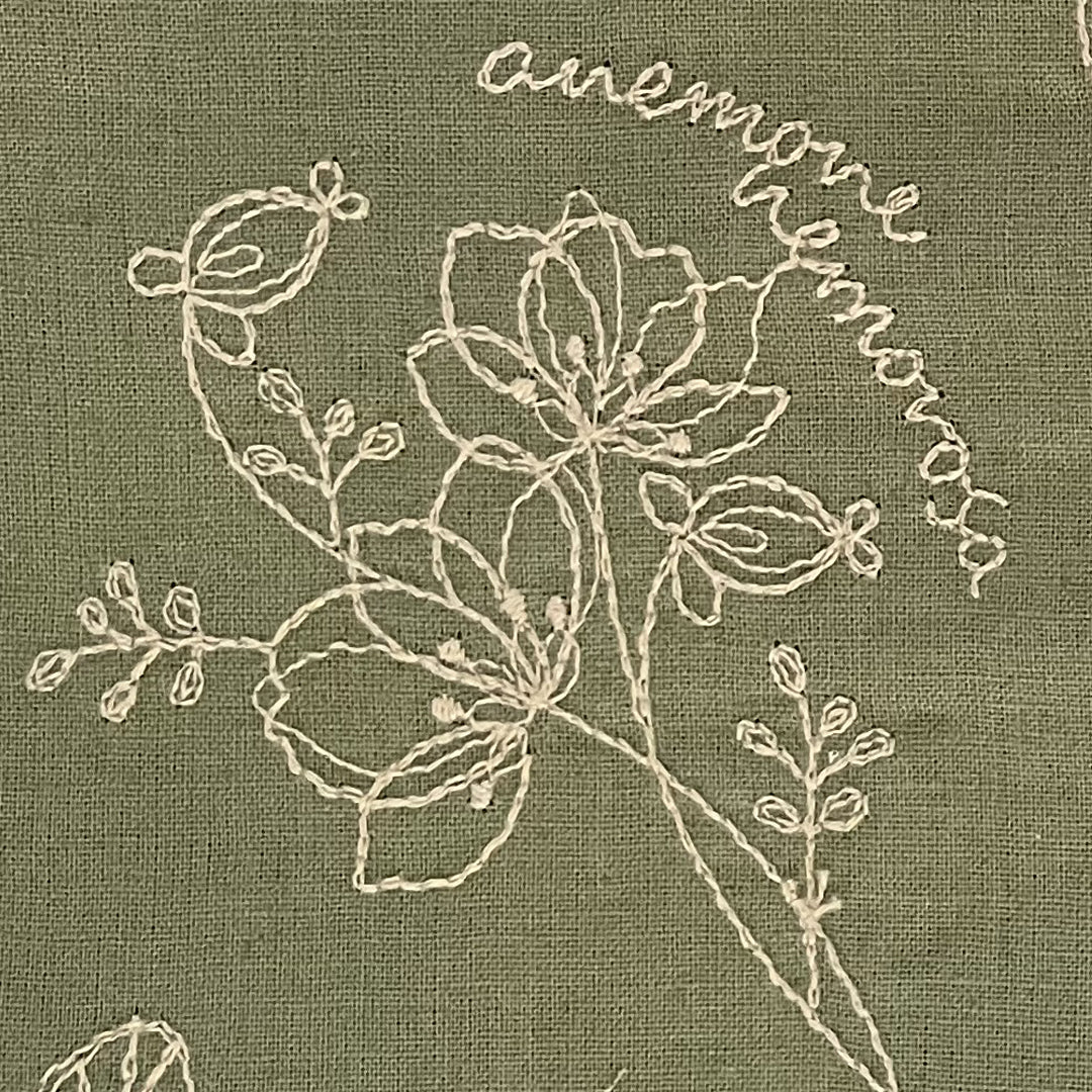 植物スケッチ  Botanical sketch / コットンリネン　3COLORS